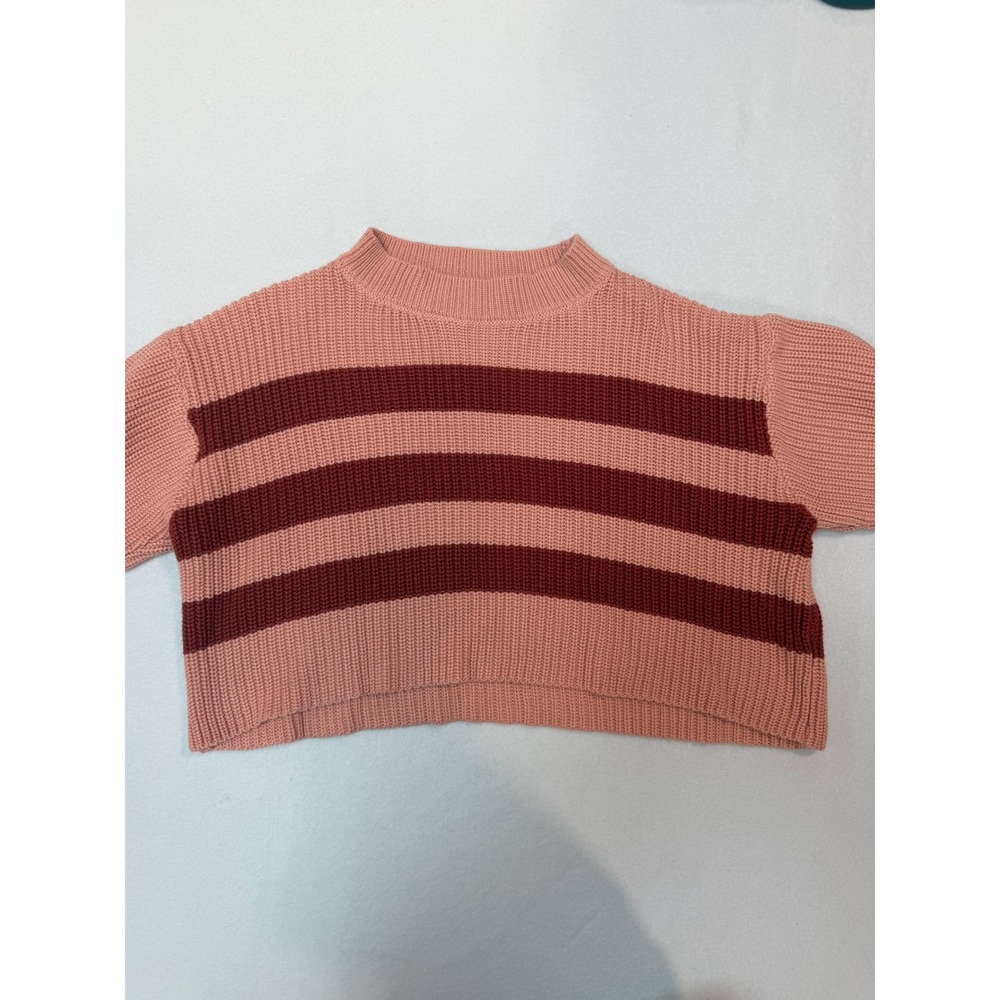 Altar'd State Womens XXS Pink Burgundy Striped Cropped Mock Neck Sweater